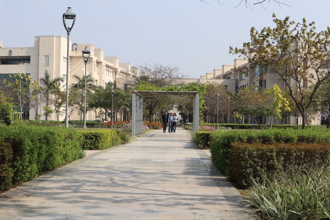 a couple of people that are walking down a path