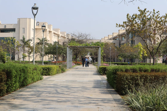 a couple of people that are walking down a path