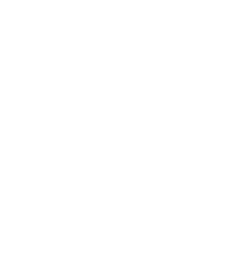 IIT Bhilai Logo