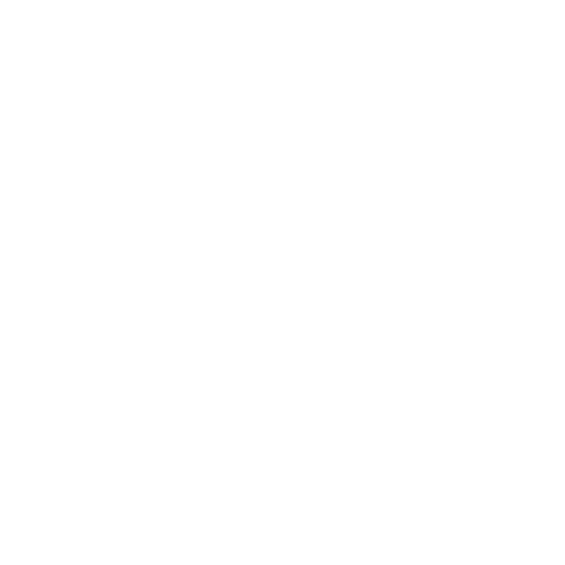 NIT Delhi Logo