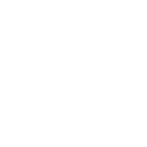 NIT Srinagar Logo